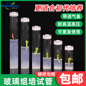 茉鋇特玻璃組培試管 高硼硅 耐高溫高壓滅菌帶透氣蓋初代培養瓶子