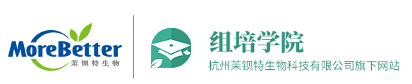 茉鋇特·組培學院