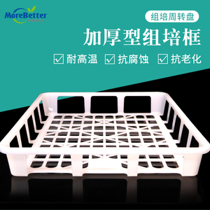 茉鋇特耐高溫組培筐 組培周轉筐 專用托盤 優質塑料 加厚防刮手